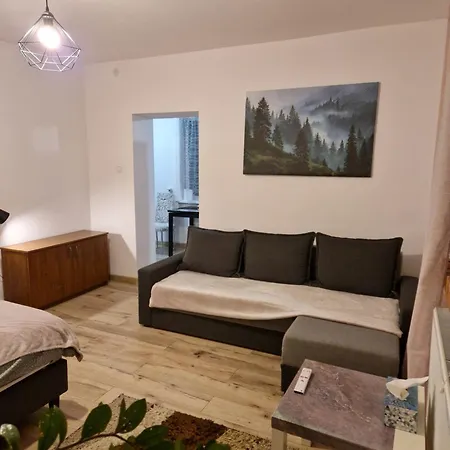 Sawago Przytulne Mieszkanie U Gosi Ciechanow Appartement Lekowo